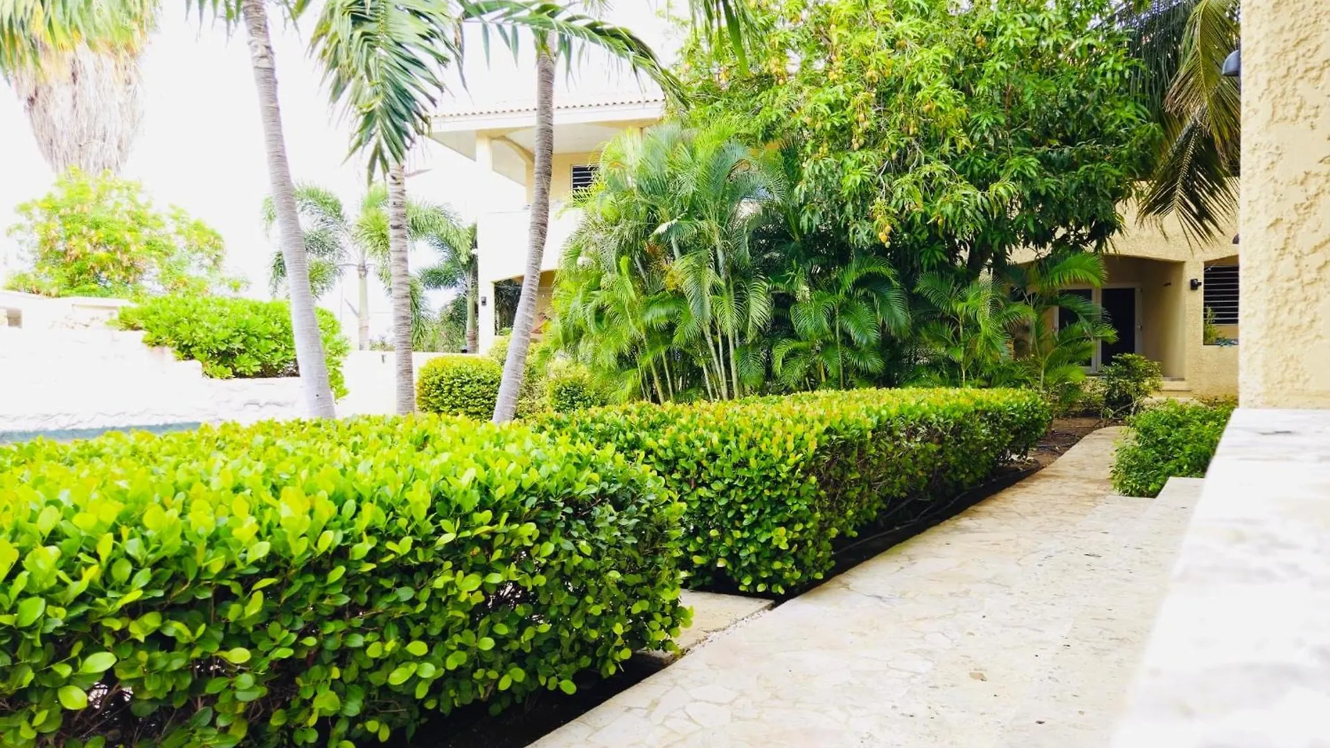 شقة New At Cocobana Resort يلمستاد كوراساو